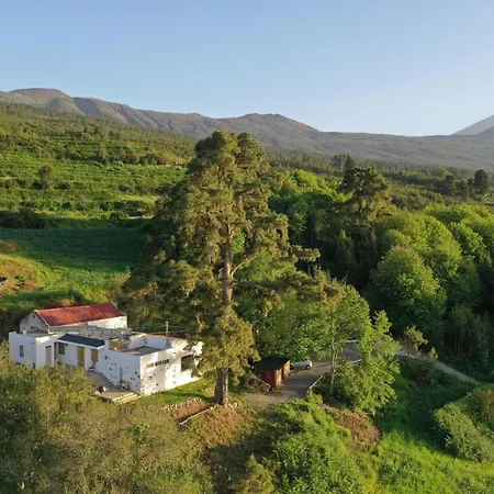 Dağ evi El Pino Centenario 4 Los Realejos