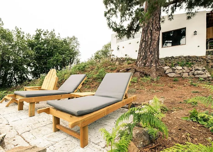 El Pino Centenario 4