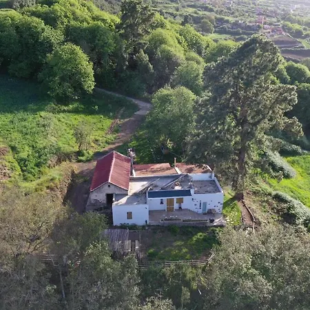 Chalet El Pino Centenario 4