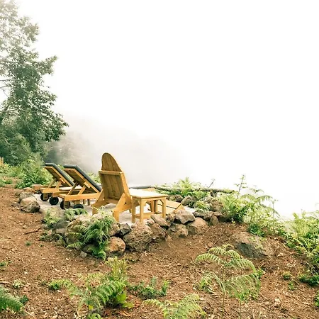 El Pino Centenario 4 * Los Realejos