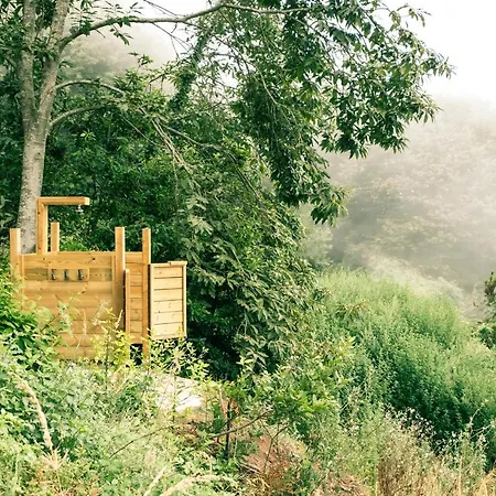 El Pino Centenario 4