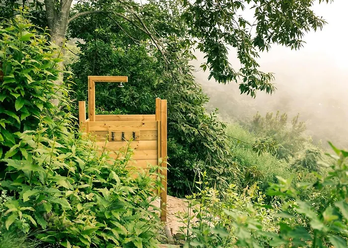 샬레 El Pino Centenario 4