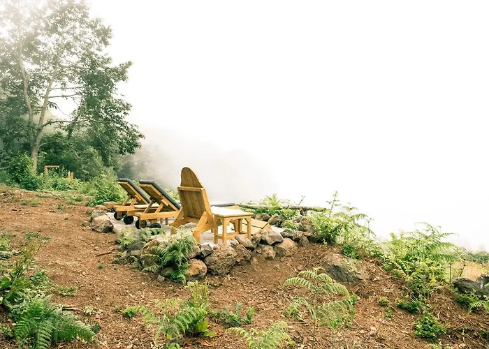 El Pino Centenario 4 * 로스 레알레호스