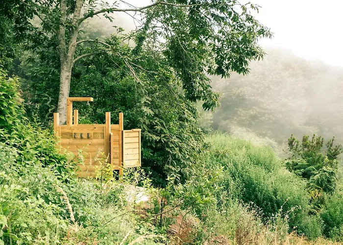 El Pino Centenario 4