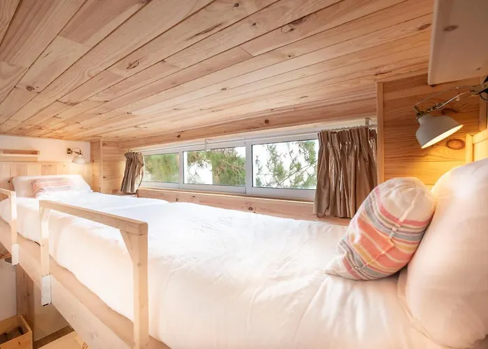 El Pino Centenario 4 * Лос-Реалехос