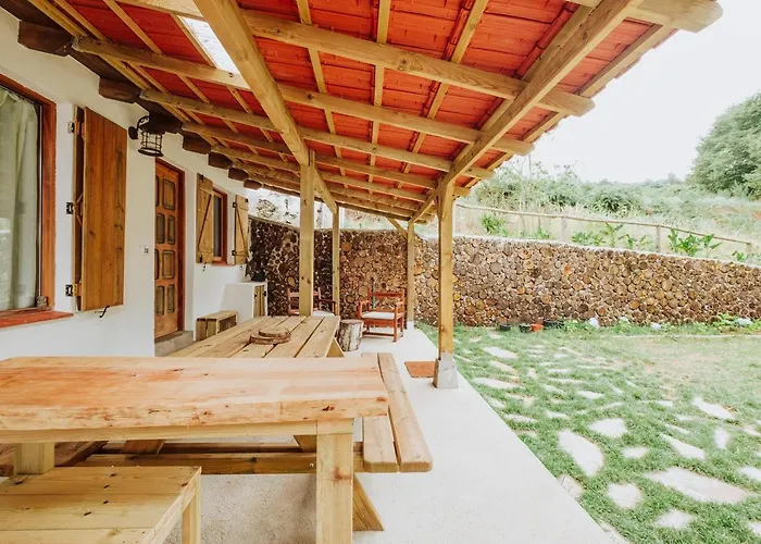 El Pino Centenario 4