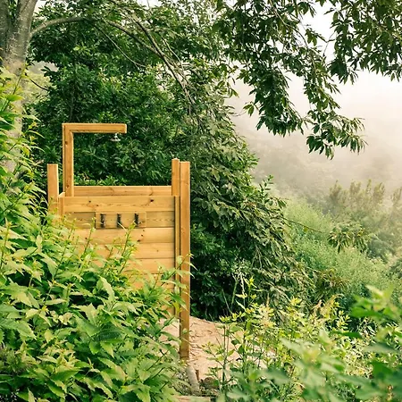 Chalet El Pino Centenario 4