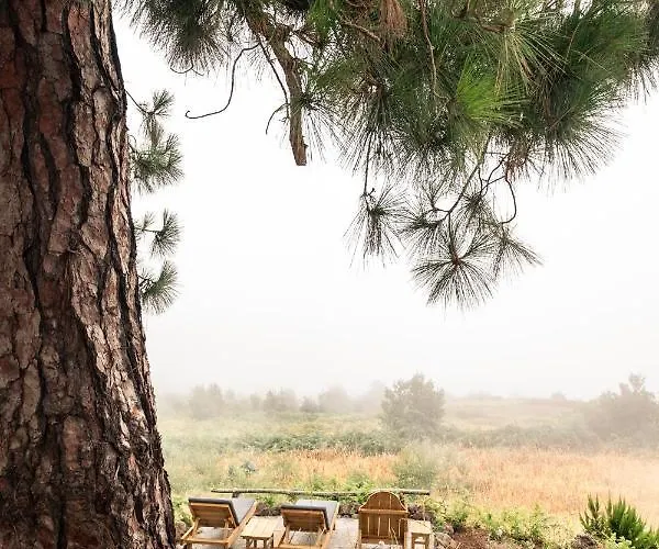 Chalet El Pino Centenario 4